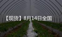 【現貨】8月14日全國各地區雞蛋現貨價格匯總