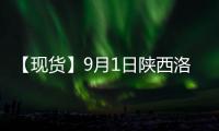 【現(xiàn)貨】9月1日陜西洛川紅富士(紙袋80#)蘋果現(xiàn)貨價(jià)格持平