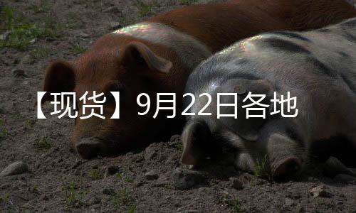 【現貨】9月22日各地區(qū)花生現貨價格匯總