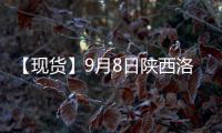 【現(xiàn)貨】9月8日陜西洛川紅富士(紙袋80#)蘋果現(xiàn)貨價格持平