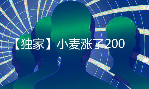 【獨家】小麥漲了200多玉米掉了100多！