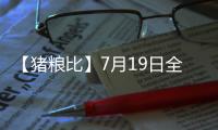 【豬糧比】7月19日全國各地區豬糧比匯總