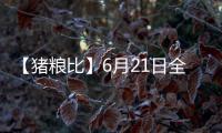 【豬糧比】6月21日全國(guó)各地區(qū)豬糧比匯總