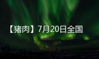 【豬肉】7月20日全國各地區白條豬肉價格匯總