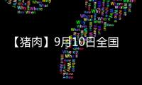 【豬肉】9月10日全國各地區白條豬肉價格匯總