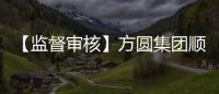 【監督審核】方圓集團順利通過強制性產品認證年度監督審核