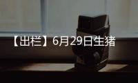 【出欄】6月29日生豬出欄價較上一日減少0.02元/斤