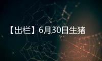 【出欄】6月30日生豬出欄價較上一日增加0.01元/斤