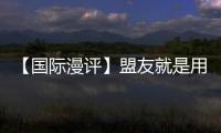 【國際漫評】盟友就是用來當靶子的