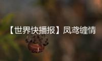 【世界快播報】鳳鳶纏情 心為囚籠！《大話西游3》全新巫族雙主角上線