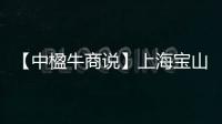 【中楹牛商說】上海寶山德技優品：在門窗風口之上取得跨越性勝利！