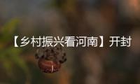 【鄉(xiāng)村振興看河南】開封：葡萄碩果滿枝頭