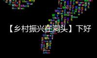 【鄉村振興在洞頭】下好特色人才培育“先手棋” 撬動海島振興新業態