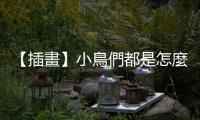 【插畫】小鳥們都是怎麼洗澡的？令人臉紅心跳的鳥羽浴場