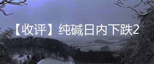 【收評】純堿日內下跌2.08%機構稱日內純堿期貨盤面偏弱運行為主