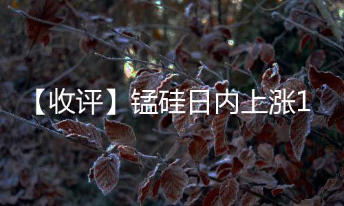 【收評】錳硅日內上漲1.63%機構稱鐵合金下方有支撐