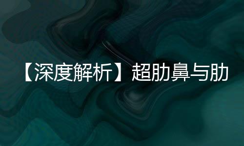 【深度解析】超肋鼻與肋骨鼻哪個更好?全網數據全方面對比評測