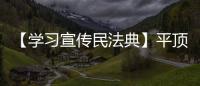 【學習宣傳民法典】平頂山市新華區法學會組織開展民法典學習活動