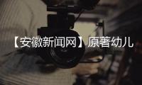 【安徽新聞網】原著幼兒園走進瑯琊區(qū)文化館開展非遺泥塑體驗活動_