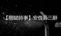 【關(guān)鍵時(shí)事】安倍晉三辭職，接班人選不成氣候的自民黨要何去何從？