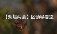 【聚焦兩會】區(qū)領(lǐng)導(dǎo)看望人大代表和政協(xié)委員