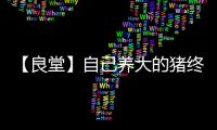 【良堂】自己養大的豬終于拱了自己ABO（上）