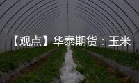 【觀點】華泰期貨：玉米市場價格預計震蕩偏弱運行