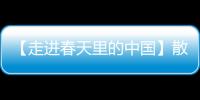 【走進春天里的中國】散落在丹霞地貌上的油菜花田