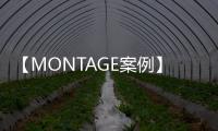 【MONTAGE案例】現代簡約風，打造高級質感的家！