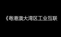 《粵港澳大灣區工業互聯網碳中和標準化白皮書》發布