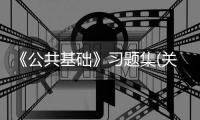 《公共基礎》習題集(關于《公共基礎》習題集簡述)