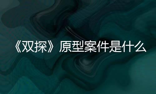 《雙探》原型案件是什么？《雙探》講述了什么故事？