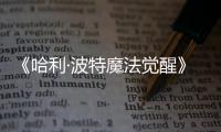 《哈利·波特魔法覺醒》 麥格教授在哪里？