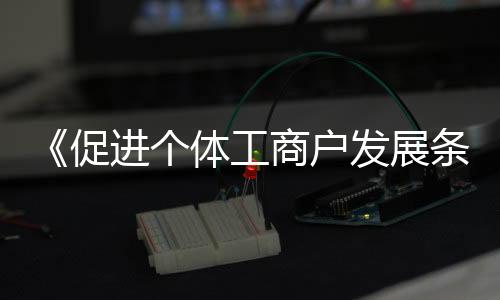 《促進個體工商戶發展條例》系列解讀文章之九