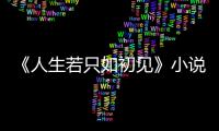 《人生若只如初見》小說(關于《人生若只如初見》小說簡述)