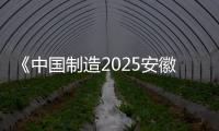 《中國制造2025安徽篇》正式發布