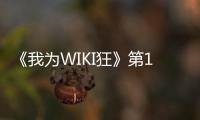 《我為WIKI狂》第11期(關于《我為WIKI狂》第11期簡述)