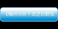 《梅州市林下靈芝仿野生栽培技術規(guī)范》地方標準出臺