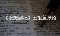 《沒想到吧》王祖藍(lán)張紹剛領(lǐng)銜送歡樂