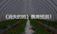 《消失的她》票房預測33億？