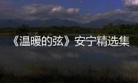 《溫暖的弦》安寧精選集 共4冊(關于《溫暖的弦》安寧精選集 共4冊簡述)