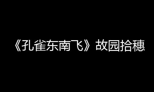 《孔雀東南飛》故園拾穗(關于《孔雀東南飛》故園拾穗簡述)