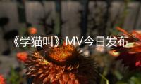 《學貓叫》MV今日發布 億萬點擊紅歌演唱者小潘潘&amp;小峰峰首曝真容