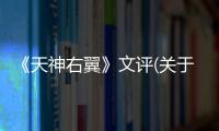 《天神右翼》文評(關于《天神右翼》文評簡述)