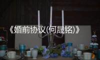 《婚前協議(何晟銘)》全集在線觀看