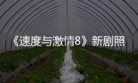 《速度與激情8》新劇照出爐 道恩