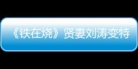 《鐵在燒》賢妻劉濤變特工上演美艷誘惑【娛樂新聞】風尚中國網