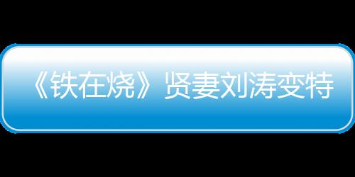 《鐵在燒》賢妻劉濤變特工上演美艷誘惑【娛樂新聞】風尚中國網