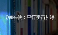 《蜘蛛俠：平行宇宙》曝“蜘”霸宇宙版海報