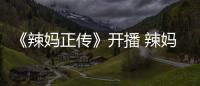 《辣媽正傳》開播 辣媽孫儷火辣登場展現瘋狂【電視劇】風尚中國網